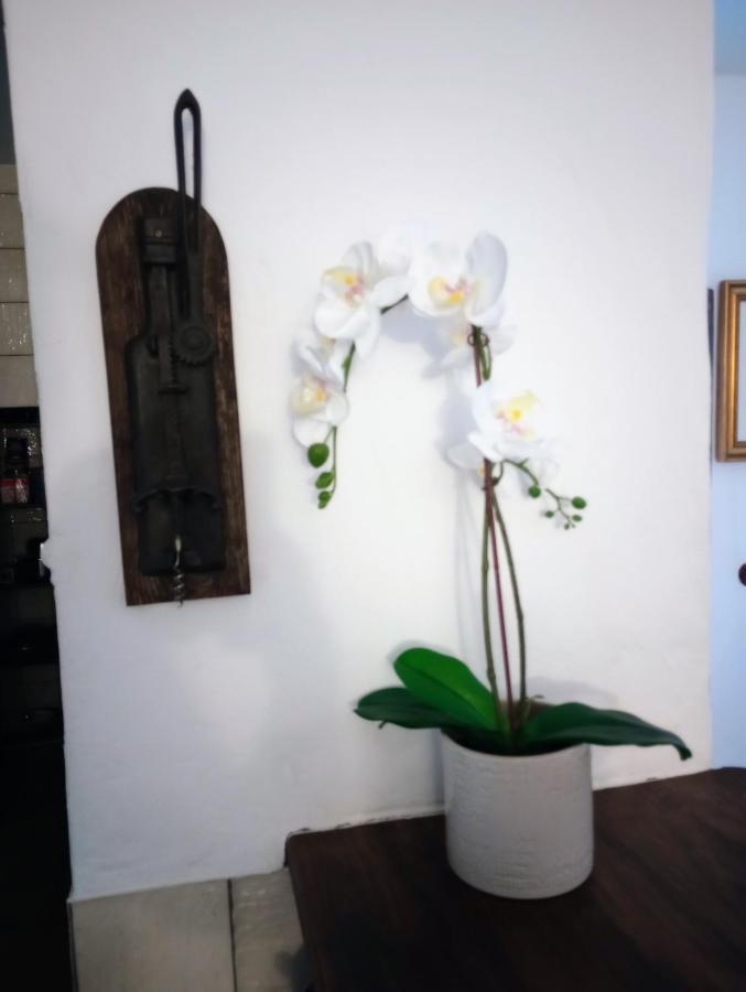 Apartmán Casa Jaruf Centro Historico Parking Gratuito Patio Petfriendly Arcos de la Frontera Exteriér fotografie
